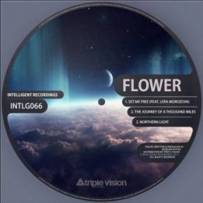 Download track Northern Light (Original Mix) Flower