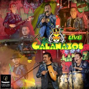 Download track Saguita Al Bat (Live) Los Galanazos