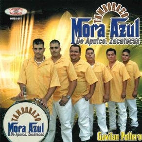 Download track Suerte He Tenido Tamborazo Mora Azul