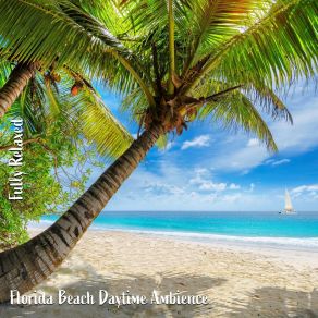 Download track Florida Beach Daytime Ambience, Pt. 15 Steve Brassel