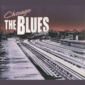 Download track Vietcong Blues Junior Wells' Chicago Blues Band