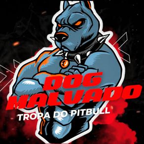 Download track Cachorra De Raça Pura Dog MalvadoMC Gomes, Dj Freitas Oficial