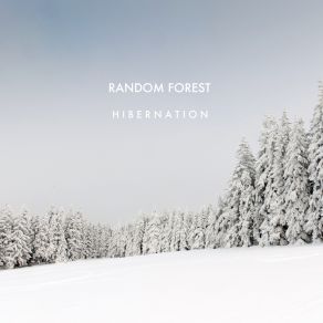 Download track Hibernation Reprise Random Forest