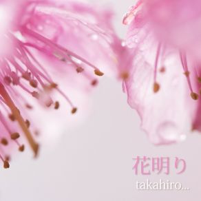 Download track 花明り TAKAHIRO