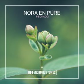 Download track Fibonacci (Original Club Mix) Nora En Pure