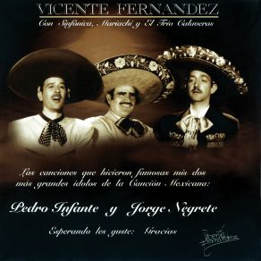 Download track Esos Altos De Jalisco Vicente Fernández