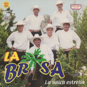 Download track Contrabando En La Sierra La Brisa