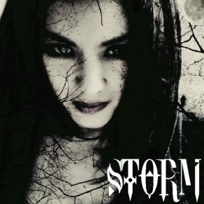 Download track Fly The Storm