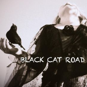 Download track Undertow Black Cat Road