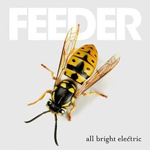 Download track Infrared-Ultraviolet Feeder