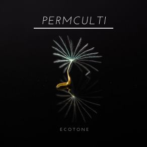 Download track Ecotone Permaculti