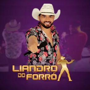 Download track Mulher Maravilha Liandro Do Forró