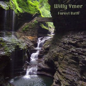 Download track Woodland Birds Willy Ymer