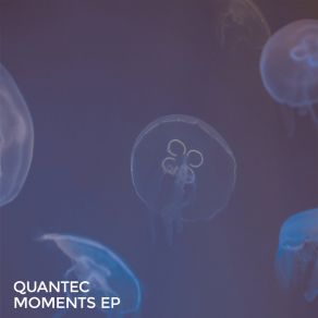 Download track Momentum II Quantec