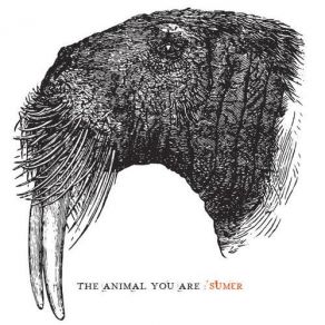 Download track The Animal You Are Sumer