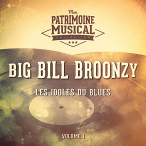 Download track When I've Been Drinkin' Big Bill Broonzy