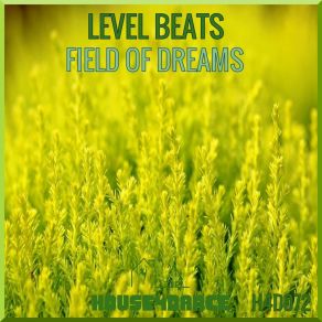 Download track Field Of Dreams (Radio Mix) Level Beats