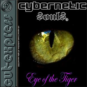 Download track Get Out Of My Satisfaction Cybernetic Souls