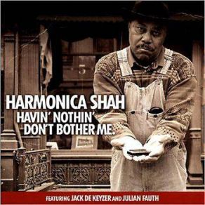 Download track Worried Life Blues Harmonica ShahJulian Fauth