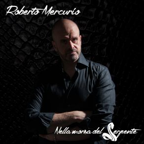 Download track Un Temporale Sulle Pianure Roberto Mercurio