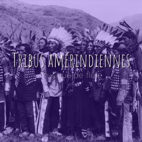 Download track Tribus Amérindiennes - Musique De Flûte # 18 Club De Détendre Amérindien