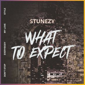 Download track Everybody (Original Mix) STUNEZY