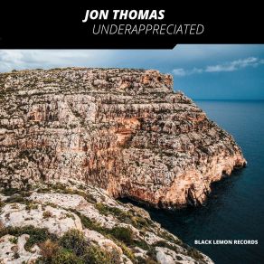 Download track Underappreciated (Shrivera Remix) Jon ThomasShrivera