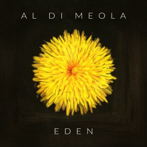 Download track For Only You Al Di Meola