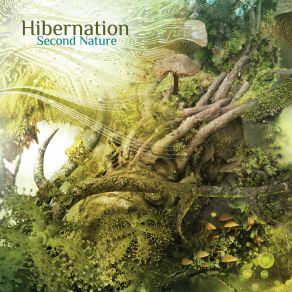 Download track Taking Shape HIBERNATION, Natasha Chamberlain