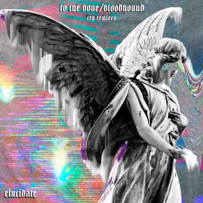 Download track To The Bone (CRP Remix) ElucidateCRP