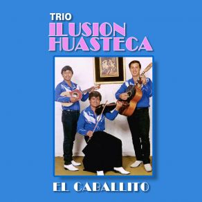 Download track Flor Menudita Trio Ilusion Huasteca