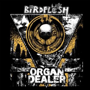 Download track Trapped In Forcepower Organ DealerBirdflesh