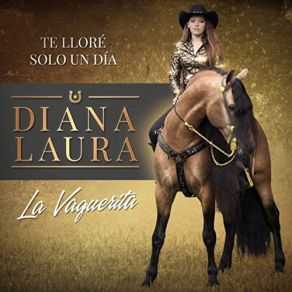 Download track No Querias Lastimarme Diana Laura