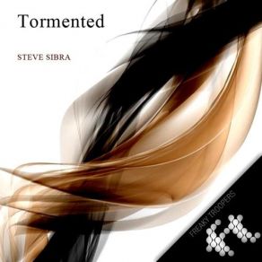 Download track Artefacts Steve Sibra