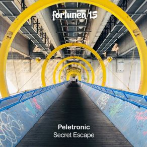 Download track Secret Escape Peletronic