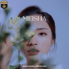 Download track Looking In The Mirror Meisha