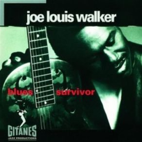 Download track Workin' Blues Joe Louis Walker