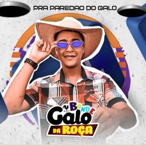 Download track O Sorte Bonde Galo Da Roça