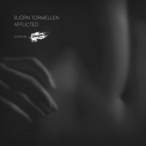 Download track Appendix Bjoern Torwellen