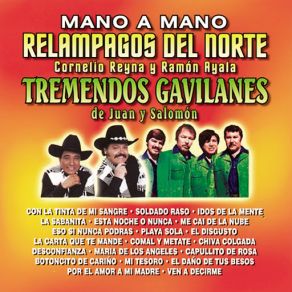 Download track Botoncito De Cariño Los Relampagos Del NorteLos Tremendos Gavilanes