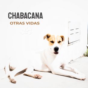 Download track Tiempo De Entretenimiento Chabacana