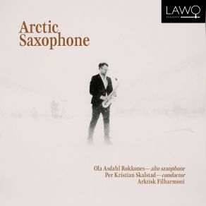 Download track Arctic Lines: V. Arctic November Ola Asdahl Rokkones