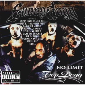 Download track Bitch Please Snoop DoggXzibit, C - Murder, Nate Dogg