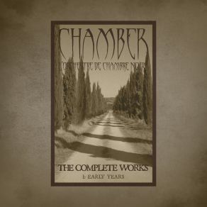 Download track The Paper-Hearted Ghost Chamber - L'Orchestre De Chambre Noir