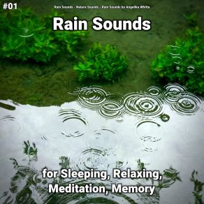 Download track Stunning Rain Sound Rain Sounds By Angelika Whitta
