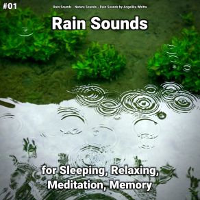 Download track Indian Meditation Rain Sounds By Angelika Whitta