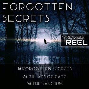 Download track The Sanctum Thomas Reel