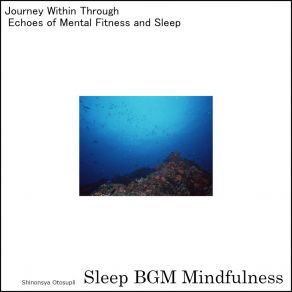 Download track Healing Power Of Soundscapes Engulfs The Soul For Mental Peace Sleep BGM Mindfulness