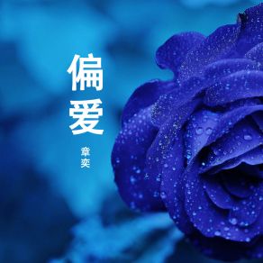 Download track 一起守望 Zhang Yi