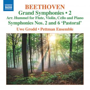 Download track Beethoven Symphony No. 2 In D Major, Op. 36 (Arr. J. N. Hummel For Flute & Piano Trio) III. Scherzo. Allegro Uwe Grodd, Pettman Ensemble